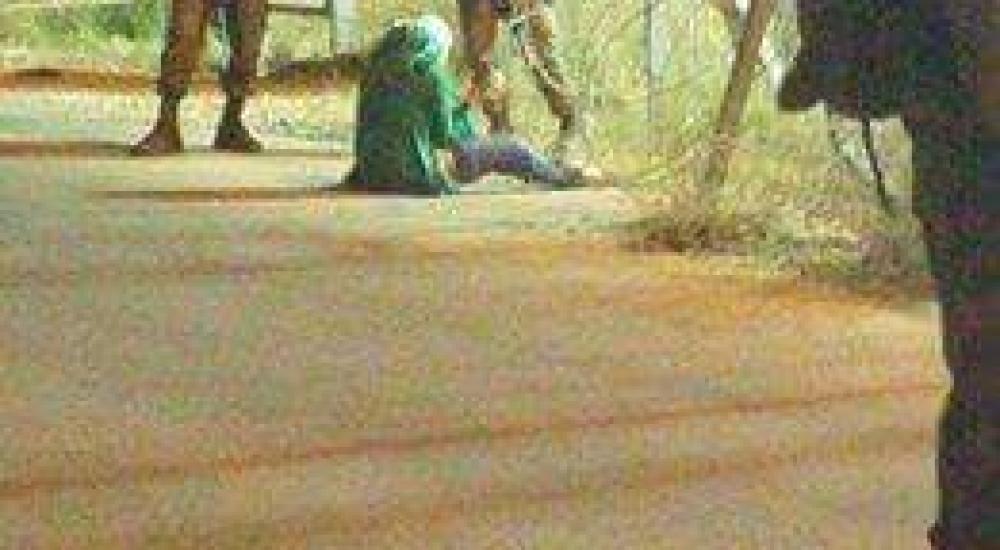 13124589_1030721113660505_4540228300969387673_n