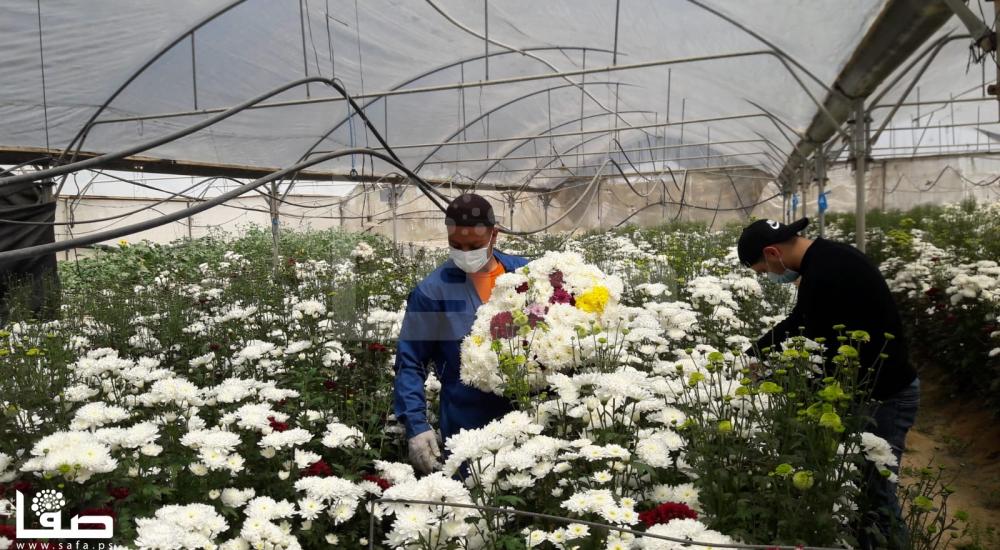 WhatsApp Image 2020-04-16 at 4.17.52 PM