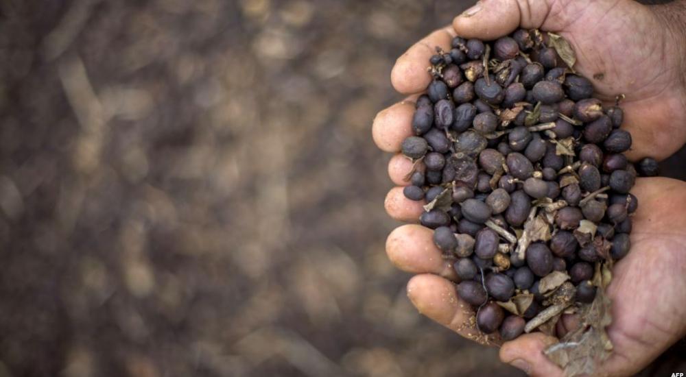 C8EB5B68-035B-4995-A239-A9A4BAAFDC39_cx0_cy6_cw0_w1023_r1_s