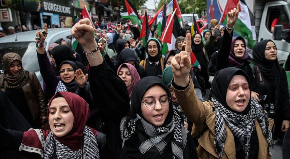 32314118_1764548670332930_7984453901023707136_n