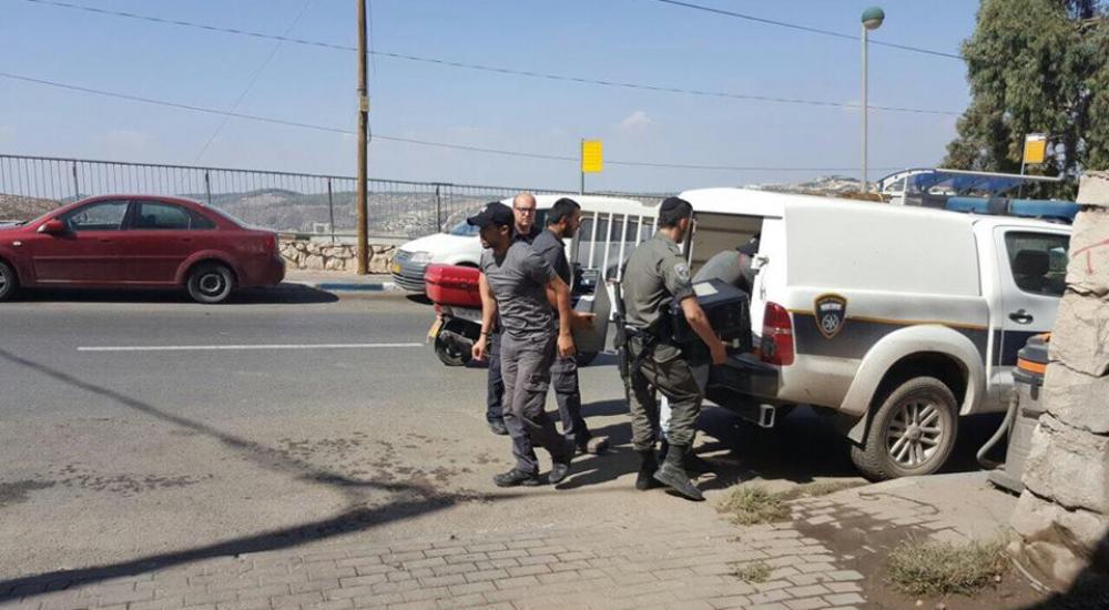 14569787_542743399268659_2052210913_n