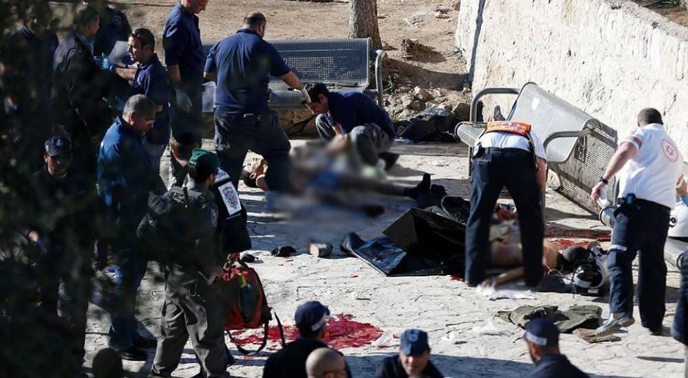 12670572_955606207808788_8897602286545462038_n