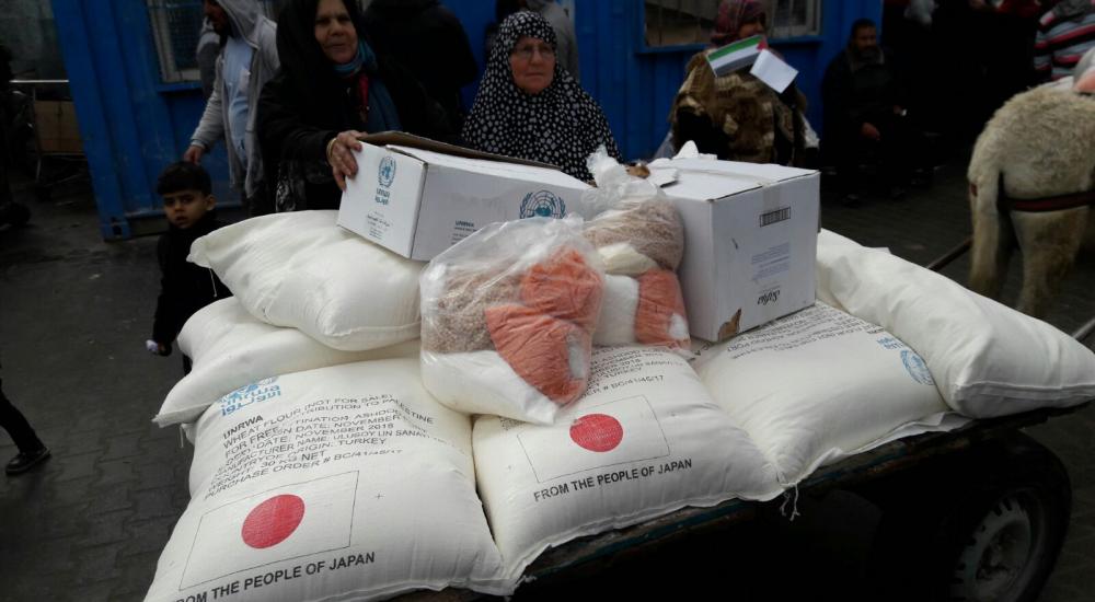 WhatsApp Image 2018-01-28 at 12.20.47 PM