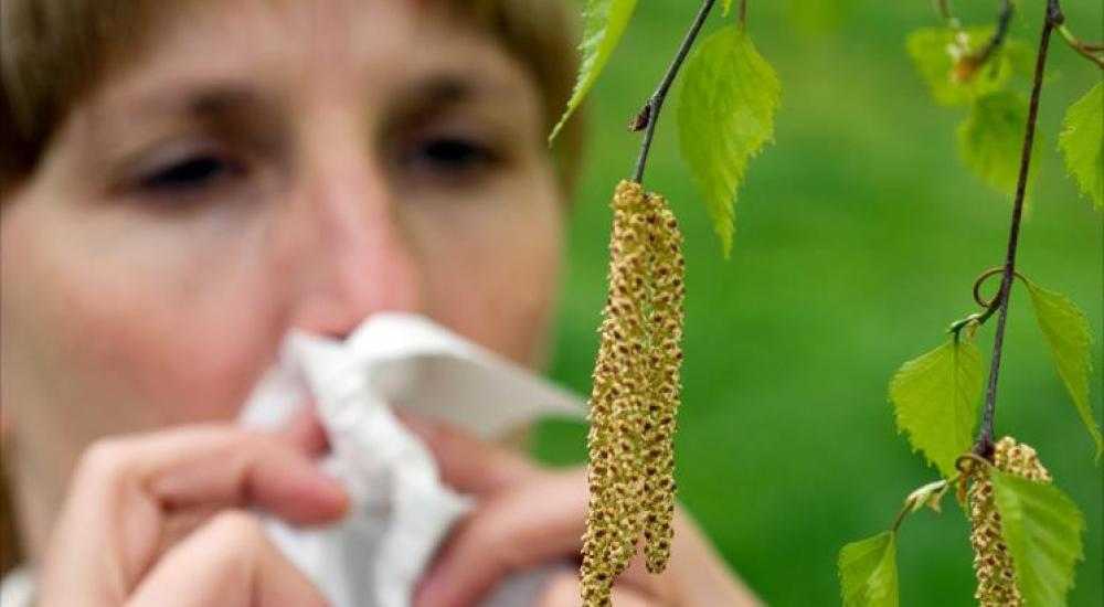 ‫حبوب اللقاح تهدد مرضى التهاب الجلد العصبي