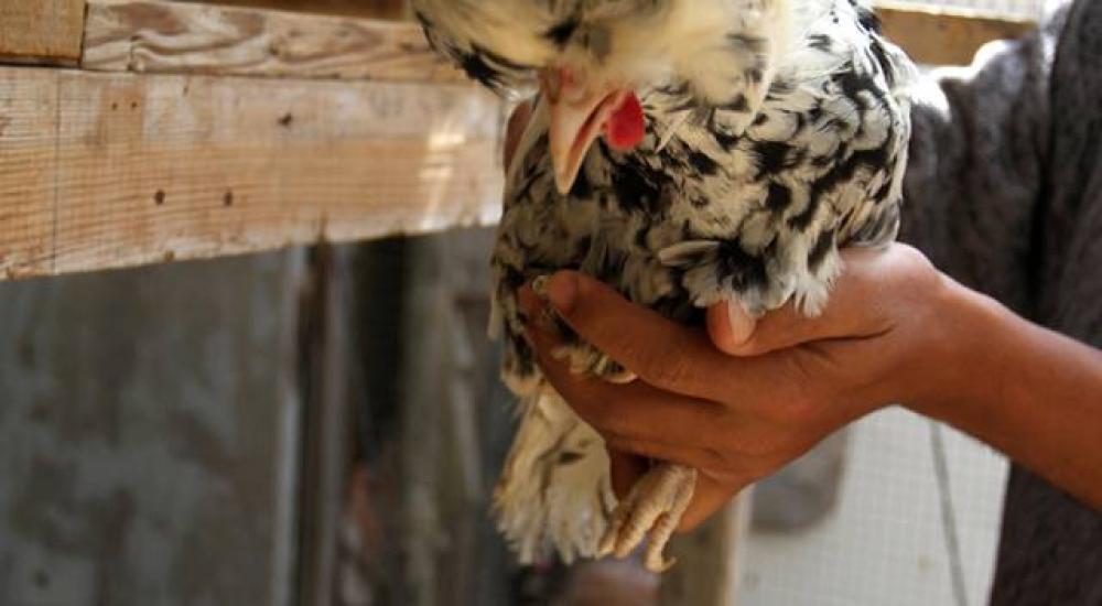 11188259_1056604251048661_3966490005365718712_n