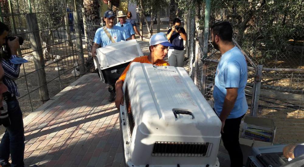 14021653_1154261924632838_8441335618580626838_n