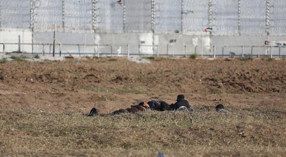 56931890_307313126608140_194576037282054144_n