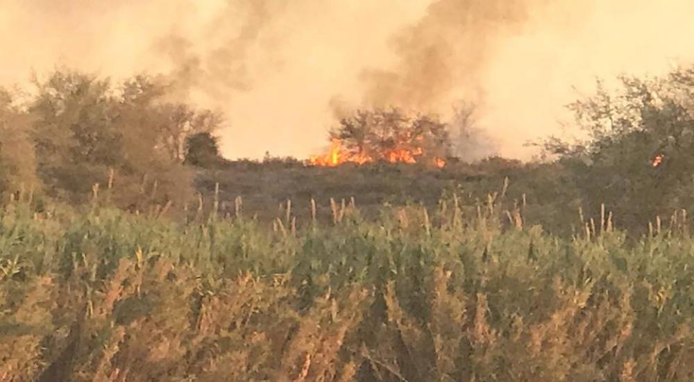 45152514_608230529593887_55702392934498304_n