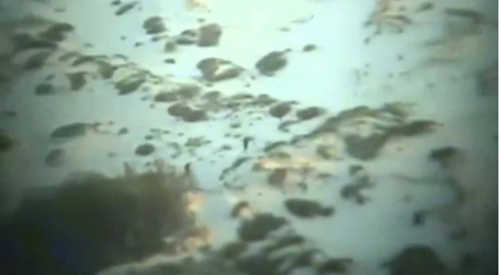 من تسجيلات الجيش لمنفذي عملية زيكيم لحظة نزولهم على الشاطئ