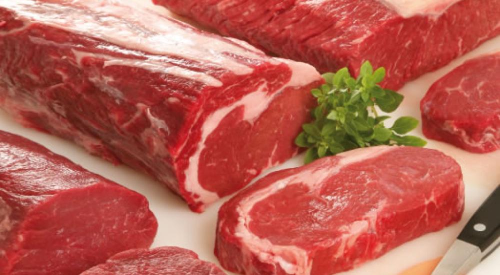 b92a5f55306dd73fea34f30f3e710483