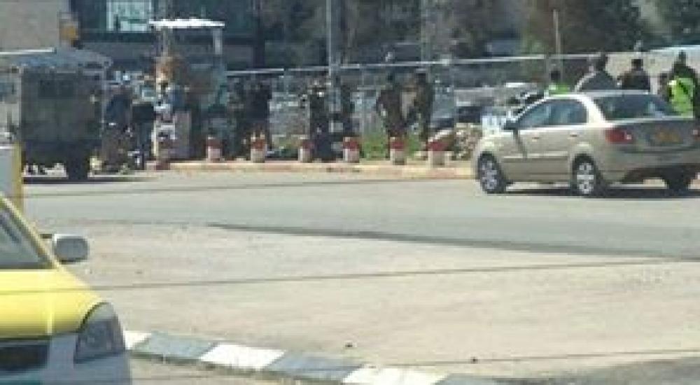 10996276_1133665859977189_290315752703801279_n