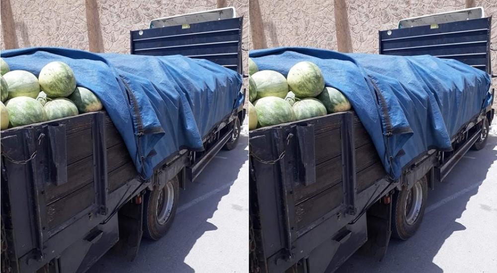 watermelon-nablus