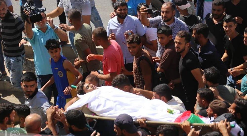 42327080_273972480113612_1085807898962952192_n