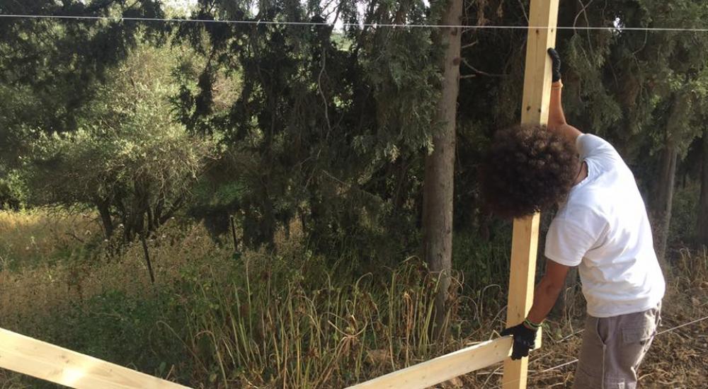 18194140_1490237811050654_6479165793854209502_n