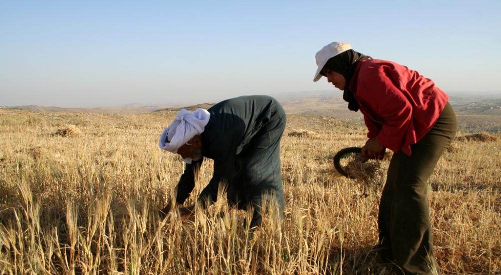 farmers_by_jill_granberg2_0