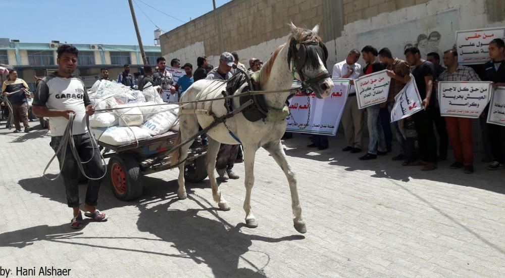 13087123_1081153511943680_3437942314284470952_o