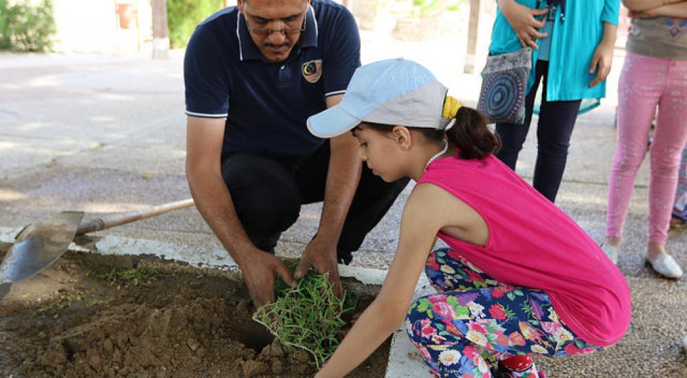 27438359056_298287b5f4_z