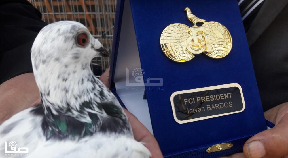 4a707a1b-dc49-4a64-ae07-d1437764edd2