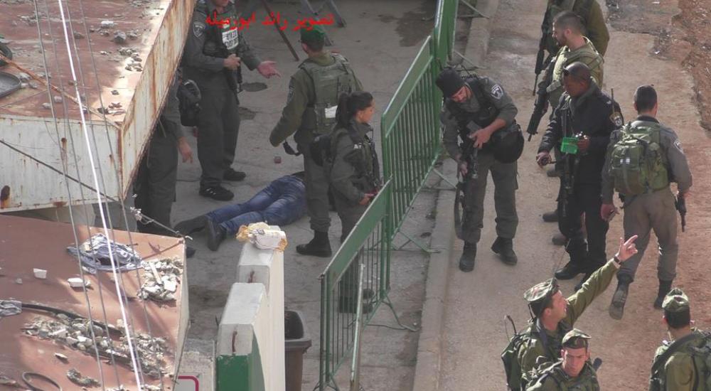 1935179_756199844511061_6529344229892145932_n