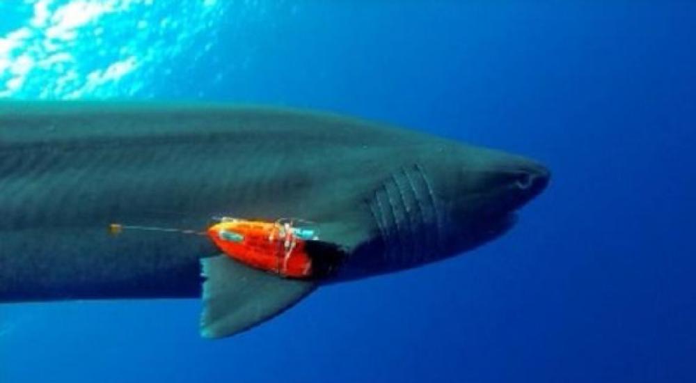 869b4fa5-3674-4b71-903a-333adb4b916d_16x9_600x338