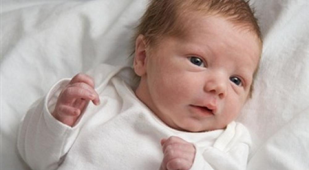 ______________________________________________________________________________227445505