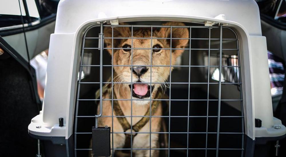 11045434_10153033174752984_3253572815800705993_n