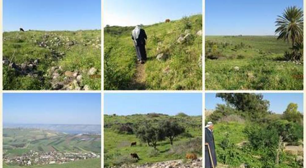 10394094_817783734925675_2249520090202824101_n