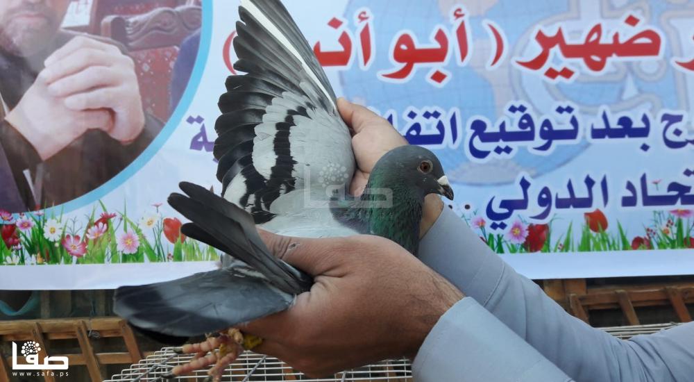 b4ab1bda-5c09-4d4a-ae67-f2c840664240