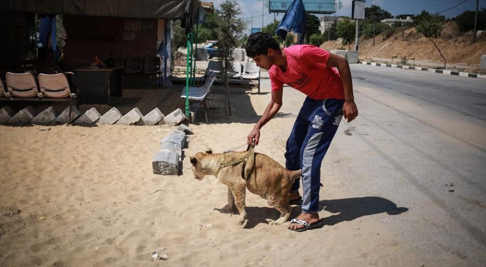 11665602_10153033174527984_3198306589108735736_n