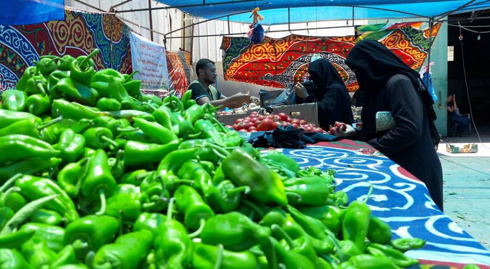 13435333_1110144532377911_665216644969680894_n