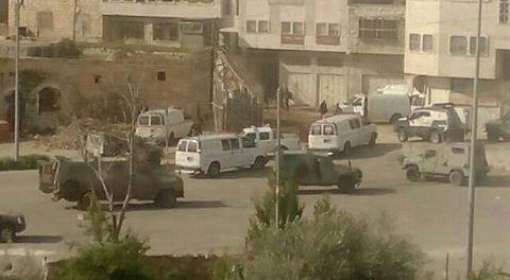 12721957_727952720678028_787541646_n