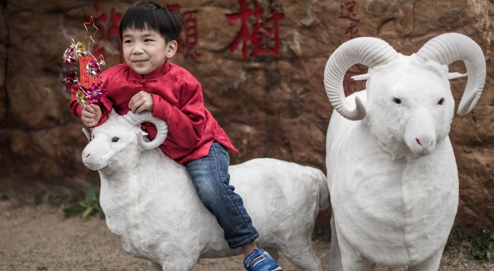 طفل يمتطي صهوة تمثال لماعز في هونغ كونغ خلال الاحتفالات ببدء عام الغنم حسب التقويم الصيني