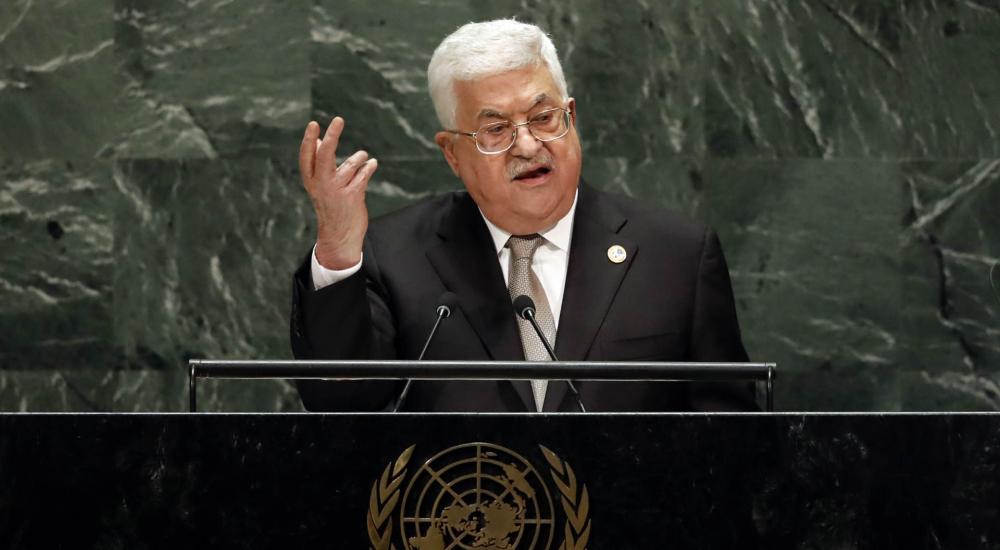 cat57419_img976008580