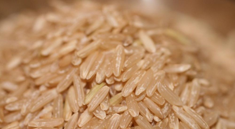 54ff0e8d611e9b18648b460d