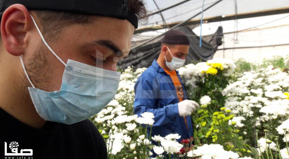 WhatsApp Image 2020-04-16 at 4.17.50 PM