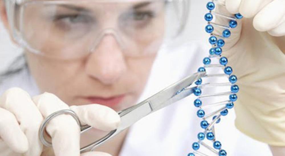 وقف استخدام التقنيات الجديدة لتعديل الجينوم البشري