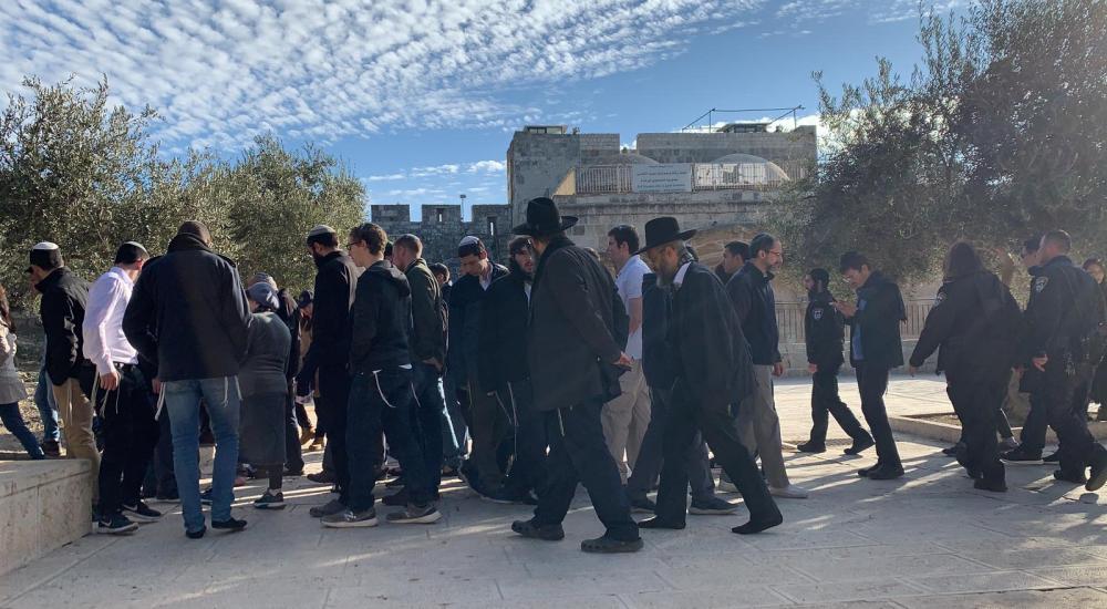 WhatsApp Image 2019-12-23 at 9.57.13 AM