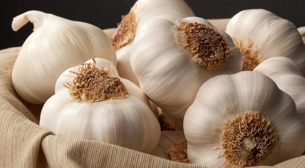 فص ثوم على الريق يوميًا يغير حياتك نهائيًا