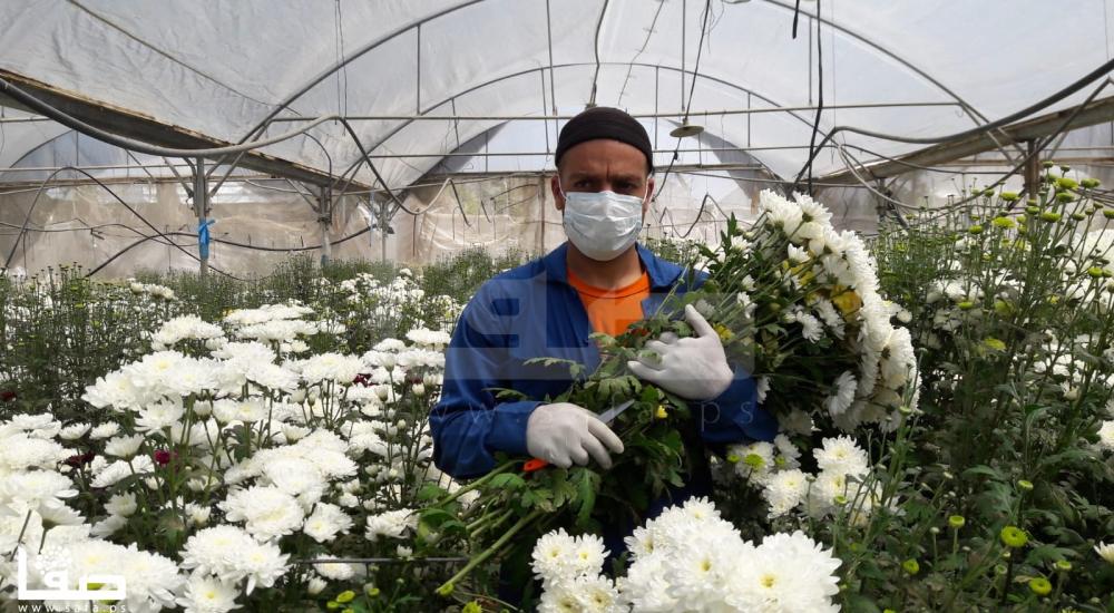 WhatsApp Image 2020-04-16 at 4.19.08 PM