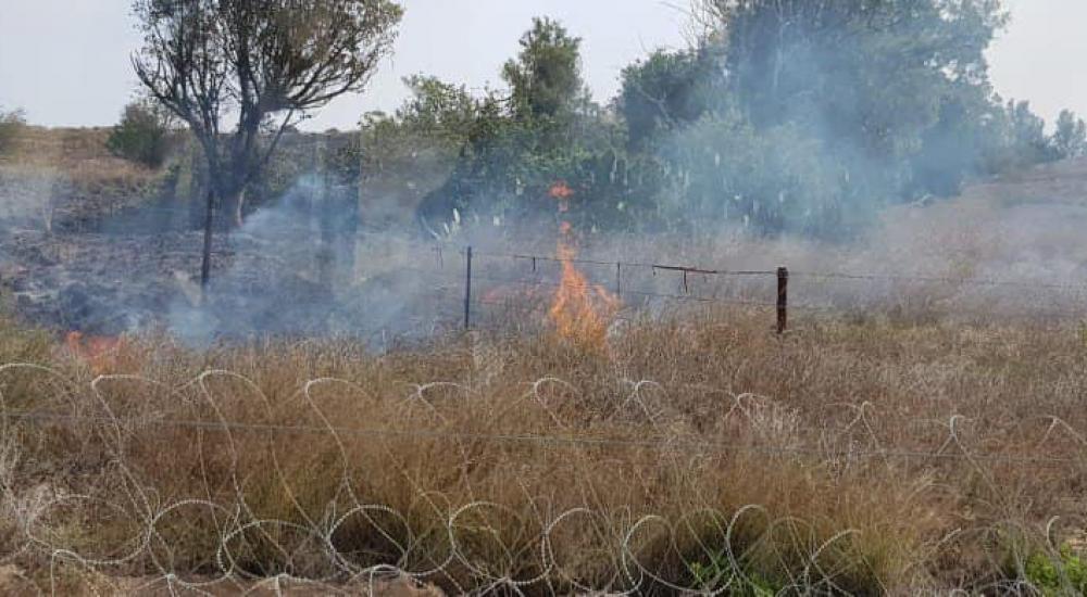 37273180_532838487133092_592301098497212416_n