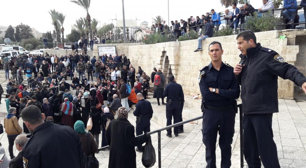 WhatsApp Image 2017-12-07 at 12.52.11 PM