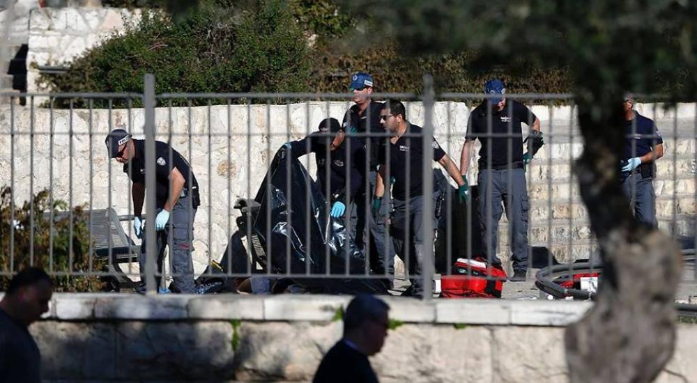 12670431_955606077808801_3880273225953262076_n