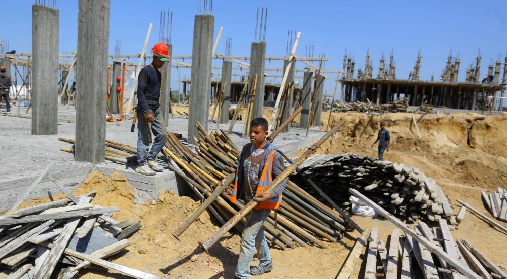 graduate-job-palestine