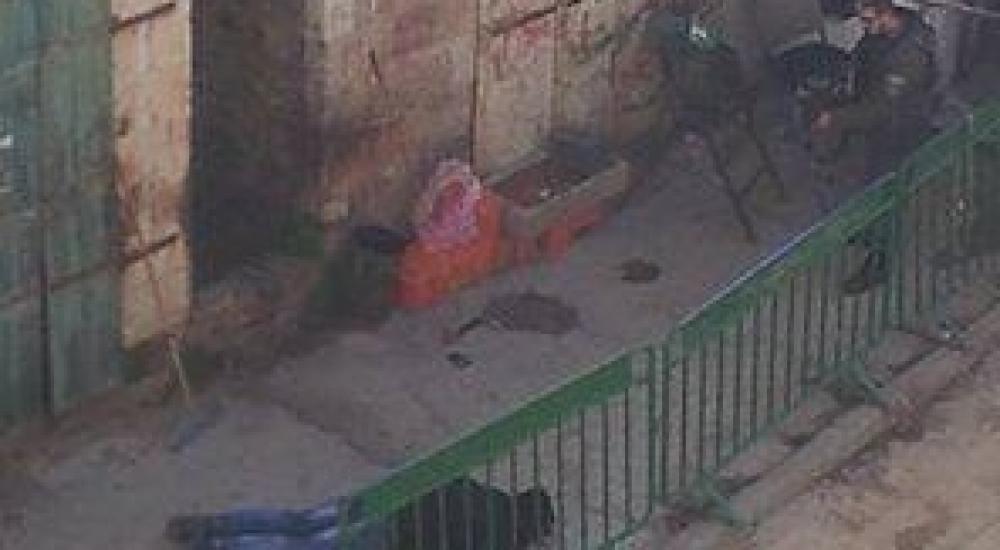 10478660_924921037625012_6365465740866193045_n