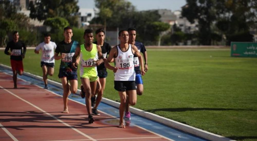 received_656070241594755-650x433