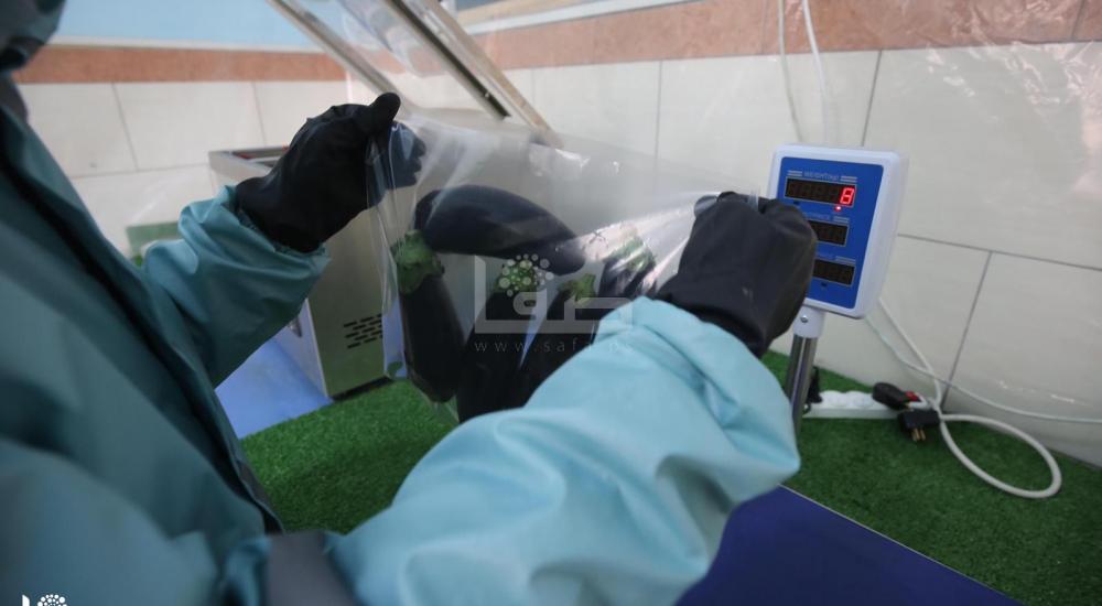 WhatsApp Image 2020-04-08 at 11.45.52 AM