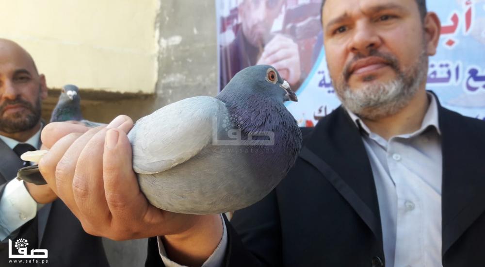 86317ccd-a10a-4ff8-a920-01b131b12cf6