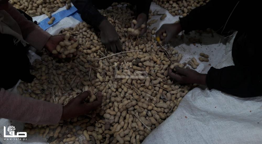 3016a852-95fd-4002-be16-aa3eac735505