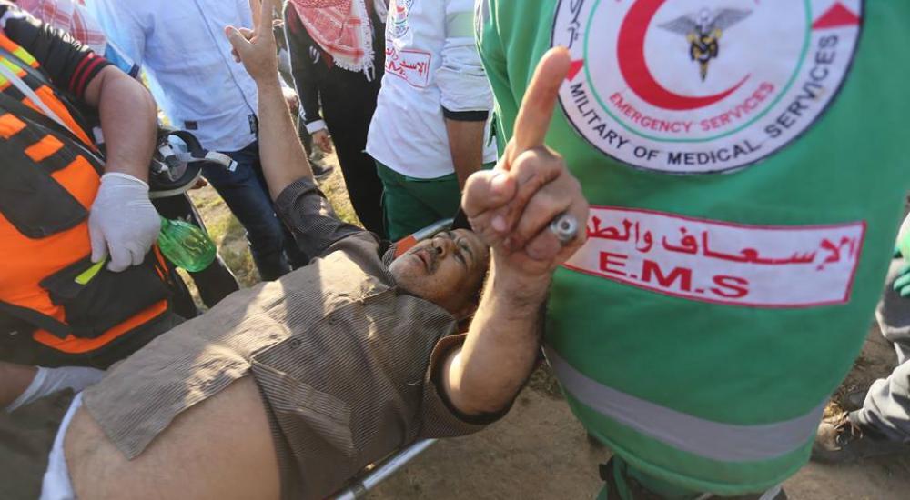 56721467_2332507363738921_2972871092642775040_n