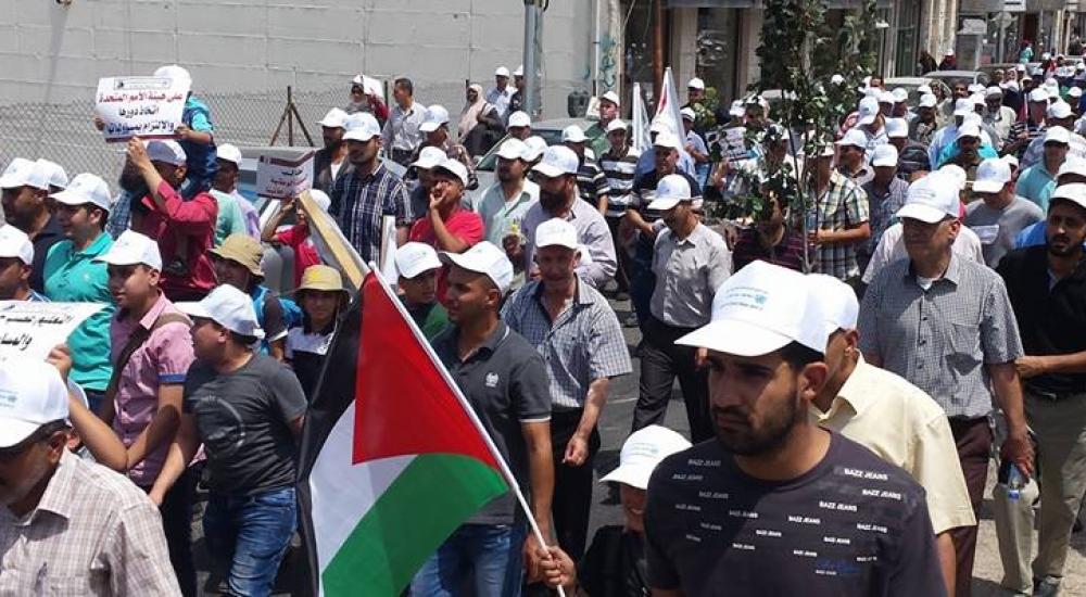 11011526_845986682159552_2666068213009306041_n